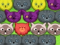 Spel Pop-pop poesjes  online