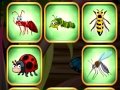 Spel Insecten stoten wedstrijd  online