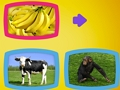 Spel Wat eten dieren?  online