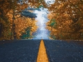 Spel Herfst Bomen Legpuzzel  online