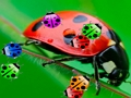 Spel Lieveheersbeestje Match3  online
