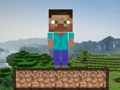 Spel Minecraft-overleving  online