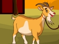 Spel Geit Ontsnapping  online