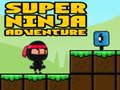 Spel Super Avontuur Ninja  online