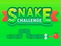 Spel Snake-uitdaging  online