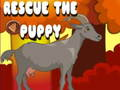 Spel Red de puppy  online