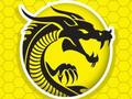Spel Kung Fu Fury online