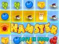 Spel Hamster verdwaald in eten  online