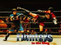 Spel Vechters in de Ring  online