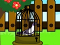 Spel Duif ontsnappen  online