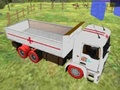 Spel Vrachtwagentransportsimulator 2020  online