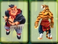 Spel Sterrenbeelden geheugen  online