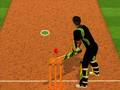 Spel Cricket Beslag Uitdaging  online