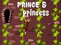 Spel Prins & prinses: kuszoektocht  online