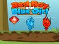 Spel Rode jongen en blauw meisje  online