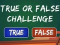Spel Waar of niet waar uitdaging  online