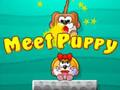 Spel Maak kennis met puppy  online