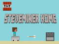Spel Steveminer Thuis  online