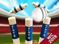 Spel Mini Cricket: Grondkampioenschap Wereldbeker 2019  online