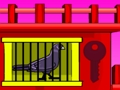 Spel Zwarte duif ontsnapping  online
