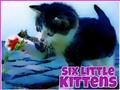 Spel Zes kleine kittens  online