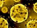 Spel Coronavirus-dia  online