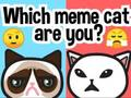Spel Welke Meme-kat ben jij?  online