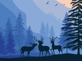 Spel Landschap Paradijs Verborgen  online