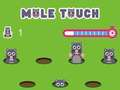 Spel Paal touch online