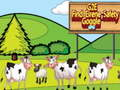 Spel G2E Find Eirene veiligheidsbril  online