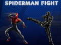 Spel Spiderman-gevecht  online