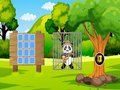 Spel Red de Panda Explorer  online