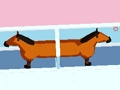 Spel Echtscheiding paard  online