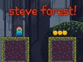 Spel Steve Bos  online