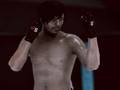 Spel MFS: MMA-vechter  online