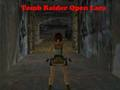 Spel Tomb Raider Open Lara online