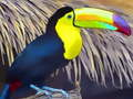 Spel Toucan Bird Legpuzzel  online
