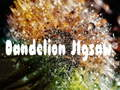 Spel Paardebloem puzzel  online