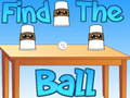 Spel Vind de bal  online