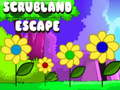 Spel Scrubland ontsnapping  online