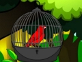 Spel Red de kooivogel  online