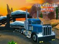 Spel 18 Wheeler-rijsimulator  online