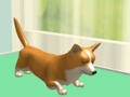 Spel Dierenverzorging  online