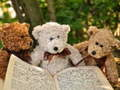 Spel Knuffelige drie teddy puzzel  online