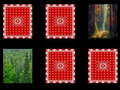 Spel Bos geheugen  online