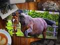 Spel Jigsaw Puzzle Horses Edition online