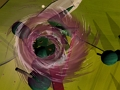 Spel Toynado online