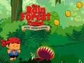 Spel Regenwoudverhalen  online