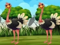 Spel Zoek de struisvogeltag  online