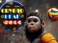Spel Crypto -hoofdbal online